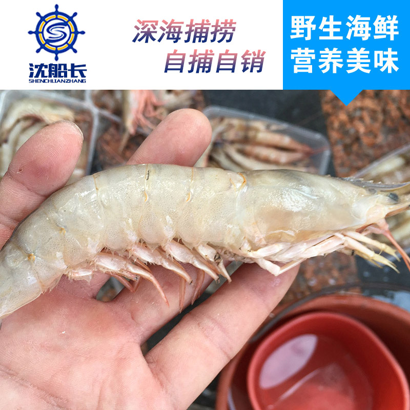 怎么回事？活蹦亂跳的蝦一買回來就死了