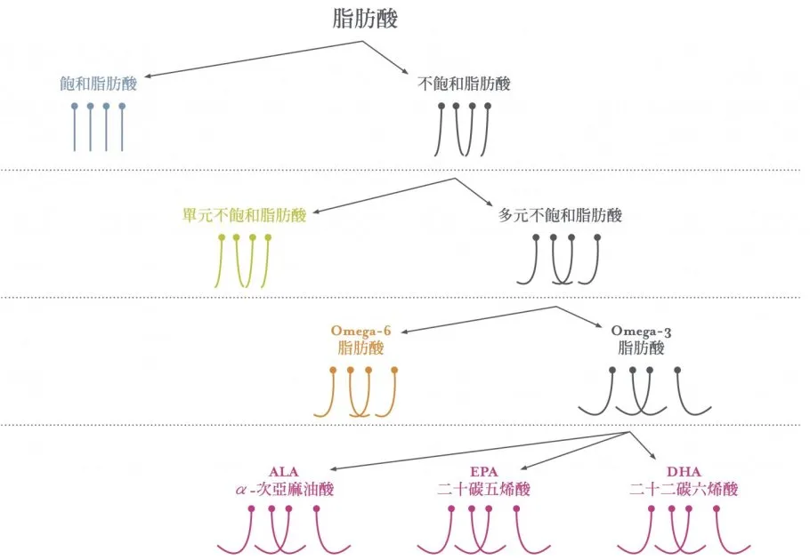 減脂該吃這些油(減肥一般吃什么油好)