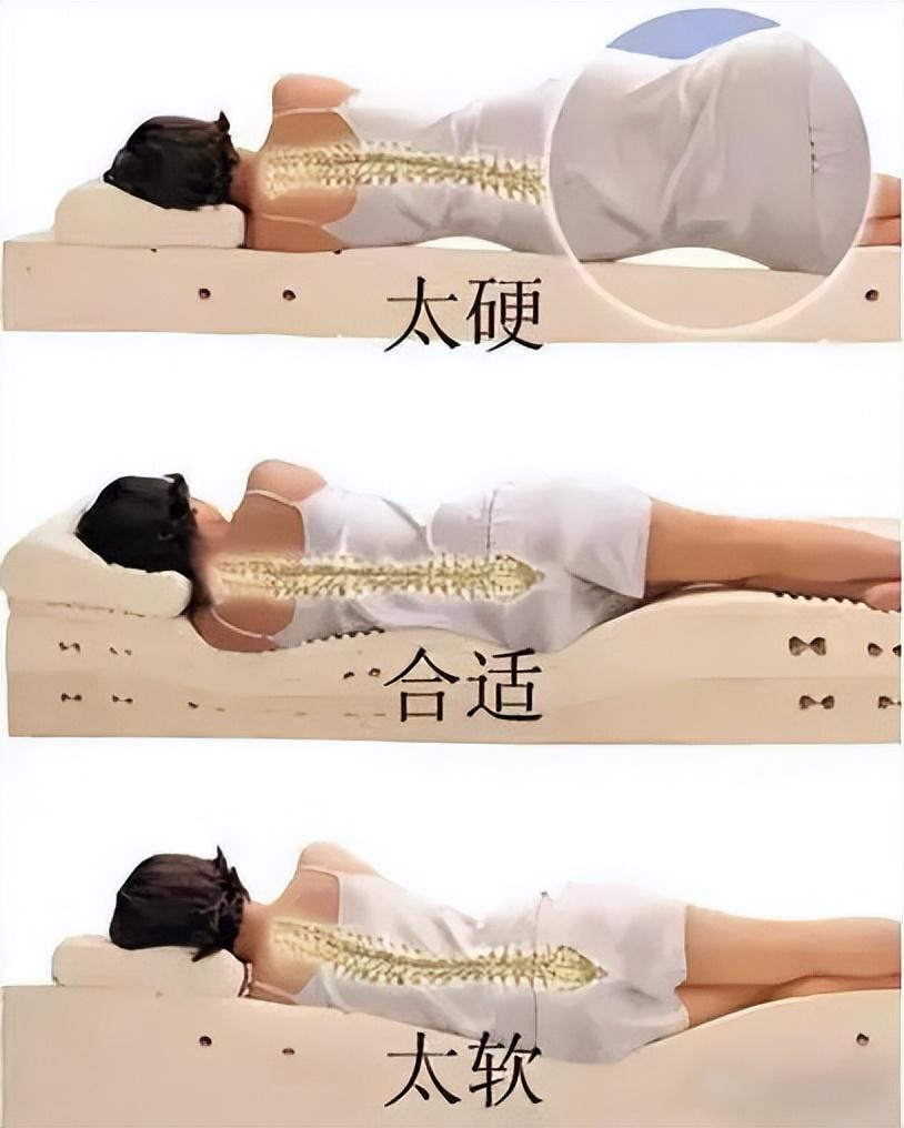 偏硬的床墊適合什么人睡？